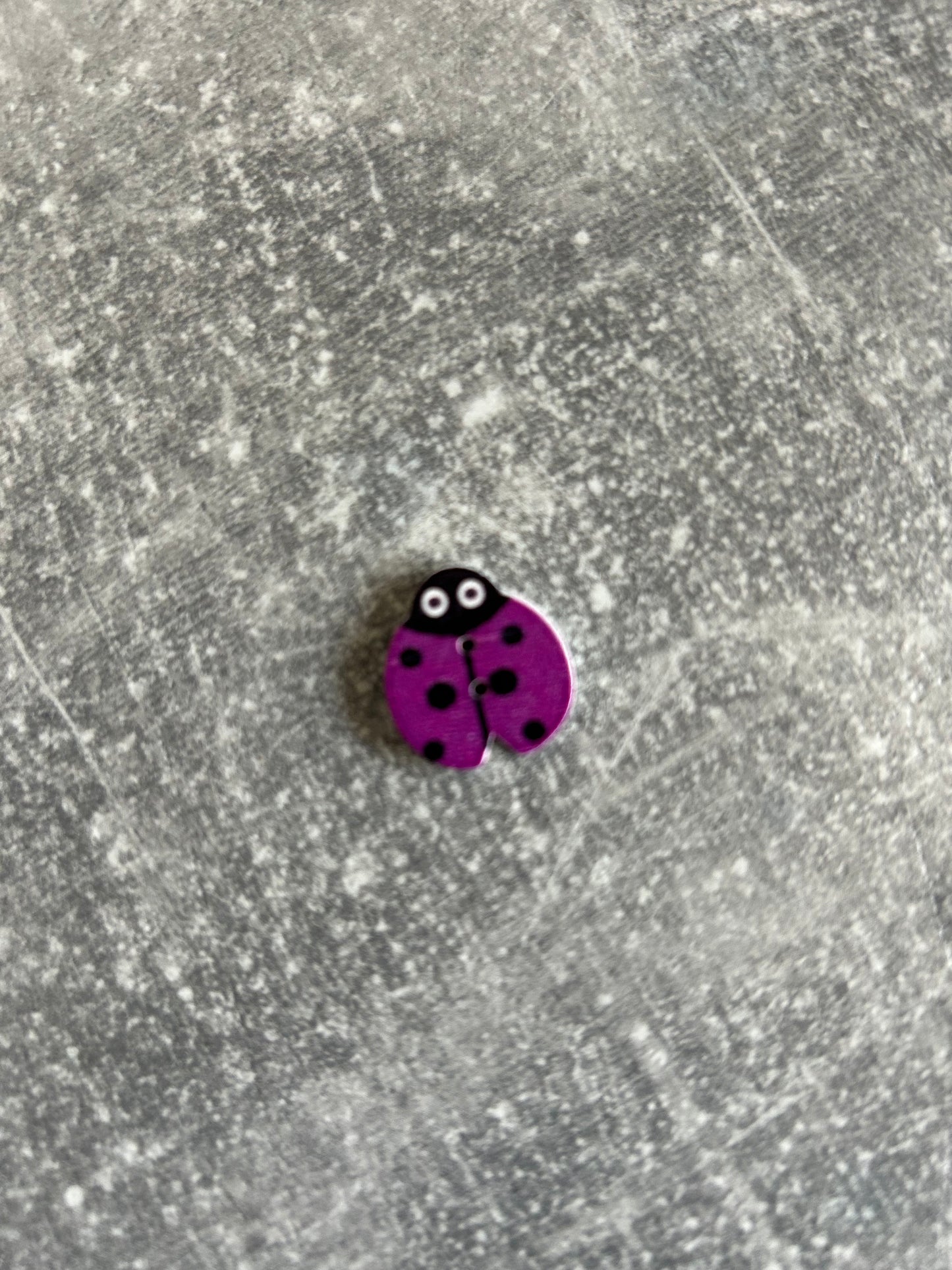 Wooden Ladybird needle minder