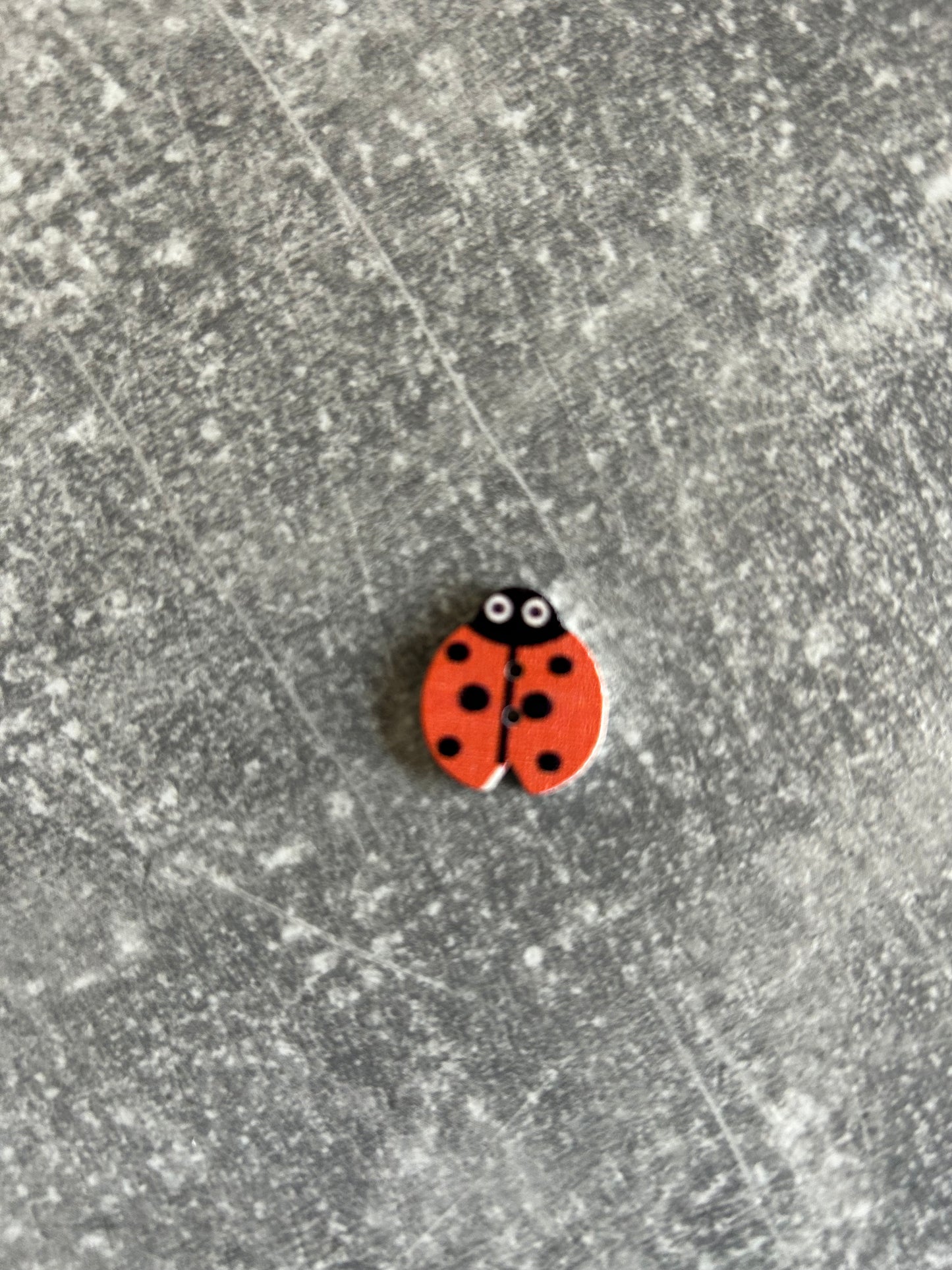 Wooden Ladybird needle minder