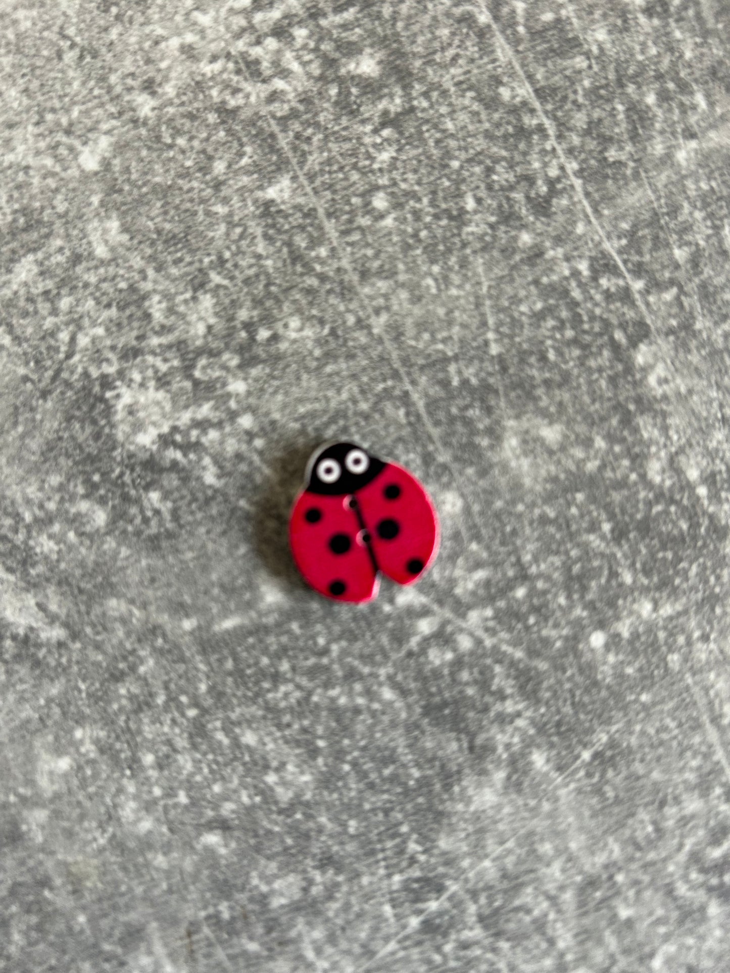 Wooden Ladybird needle minder