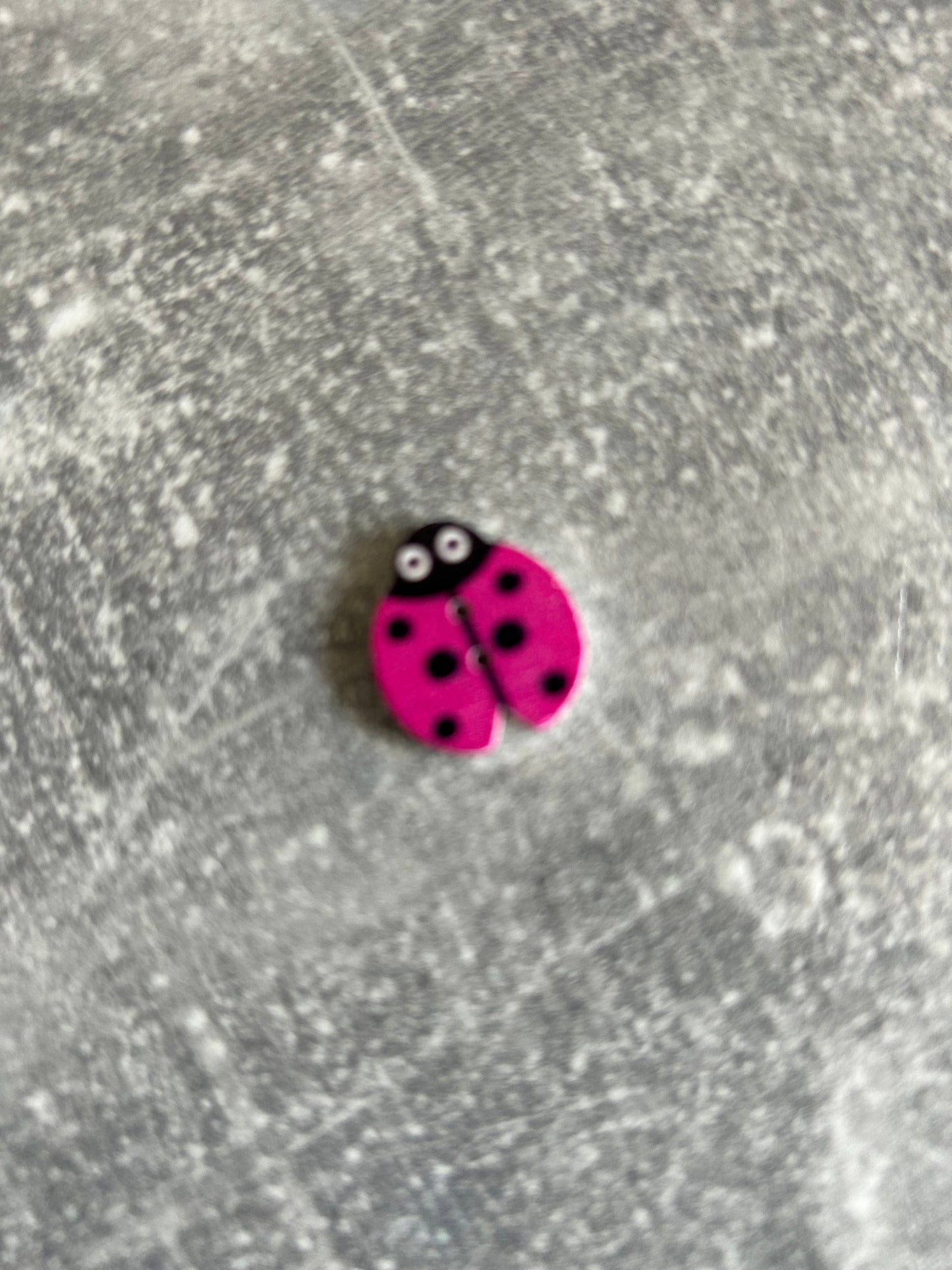 Wooden Ladybird needle minder