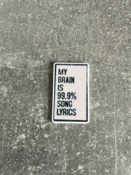 My Brain Is 99.9% Song Lyrics needle minder