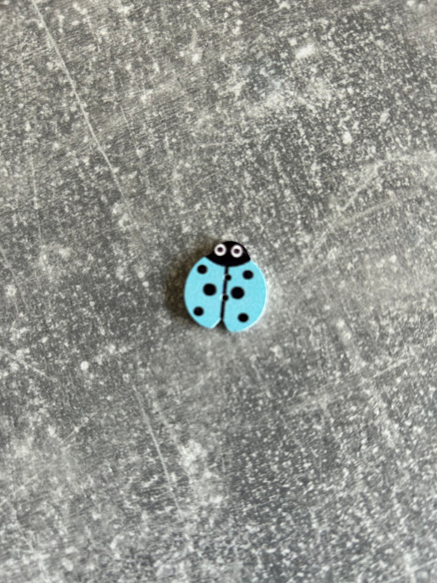 Wooden Ladybird needle minder
